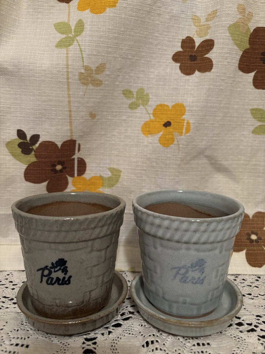 reseednow_green's tweet image. 村田商會で『Paris COFFEE』の植木鉢を購入。いまだにパリがなくなったことが寂しいなと思う🌹渋谷へ行った時は特に。
展示は平日にあらためて見に行こう。