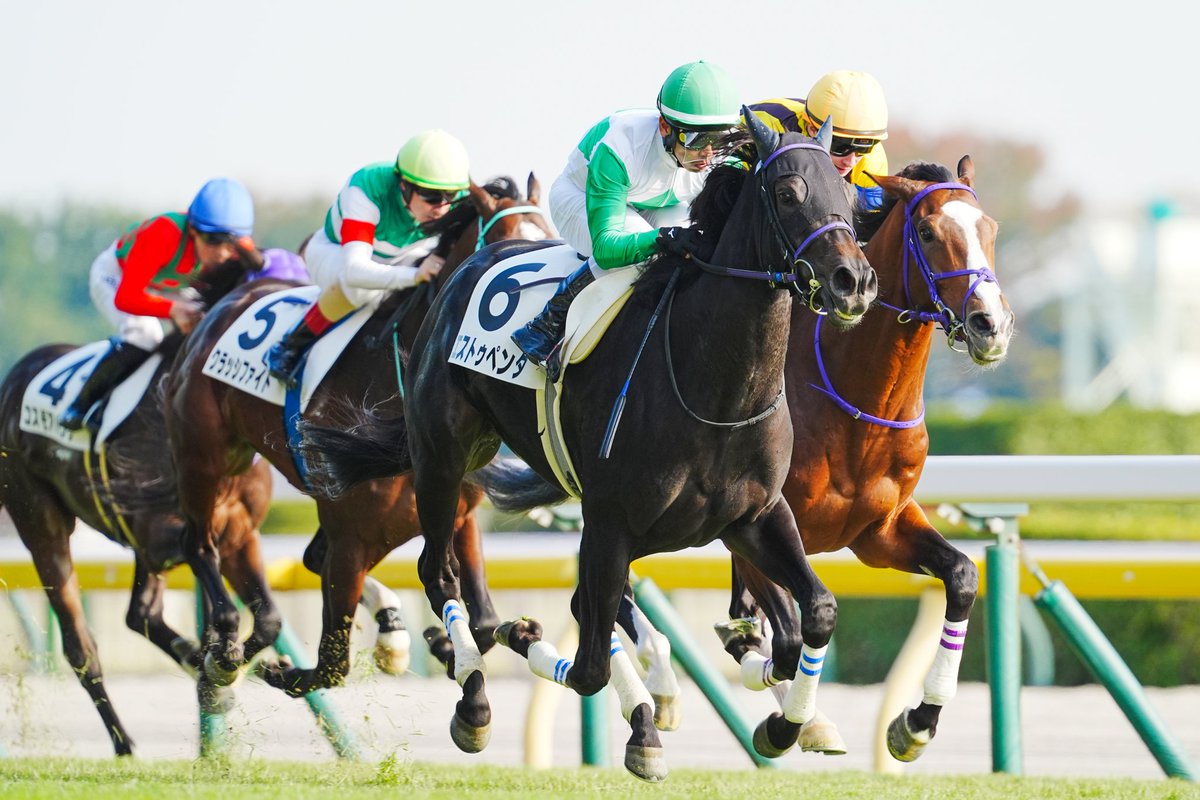 スポニチ競馬チャンネル on X