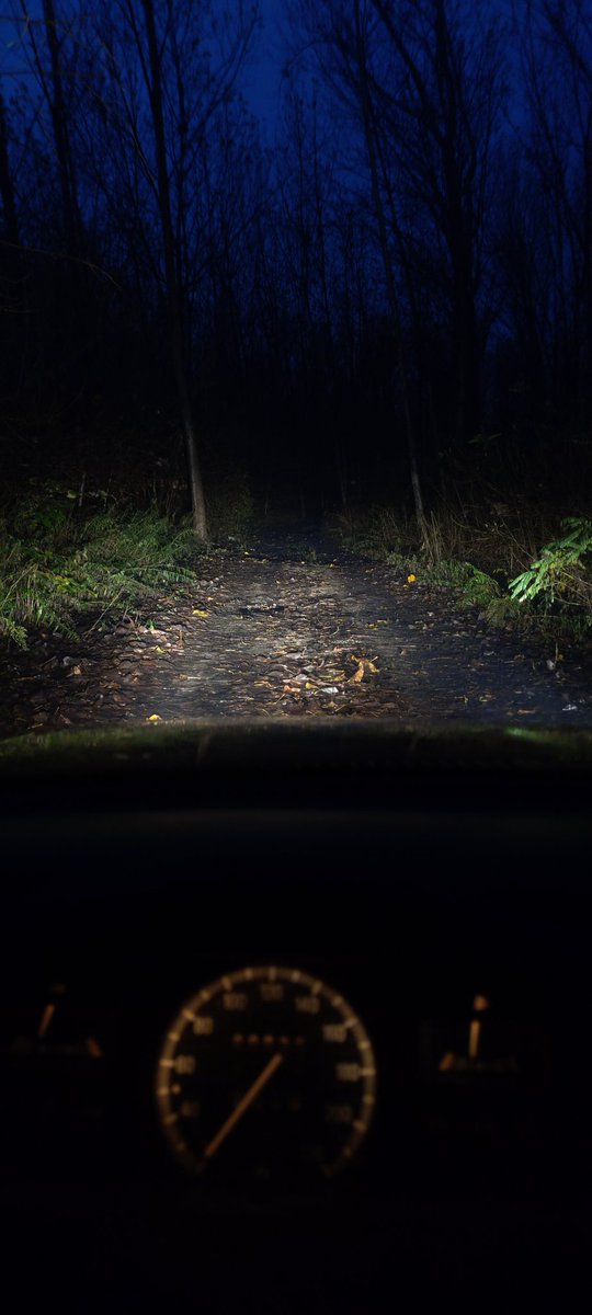 Never following Google maps again dude where the fuck am i