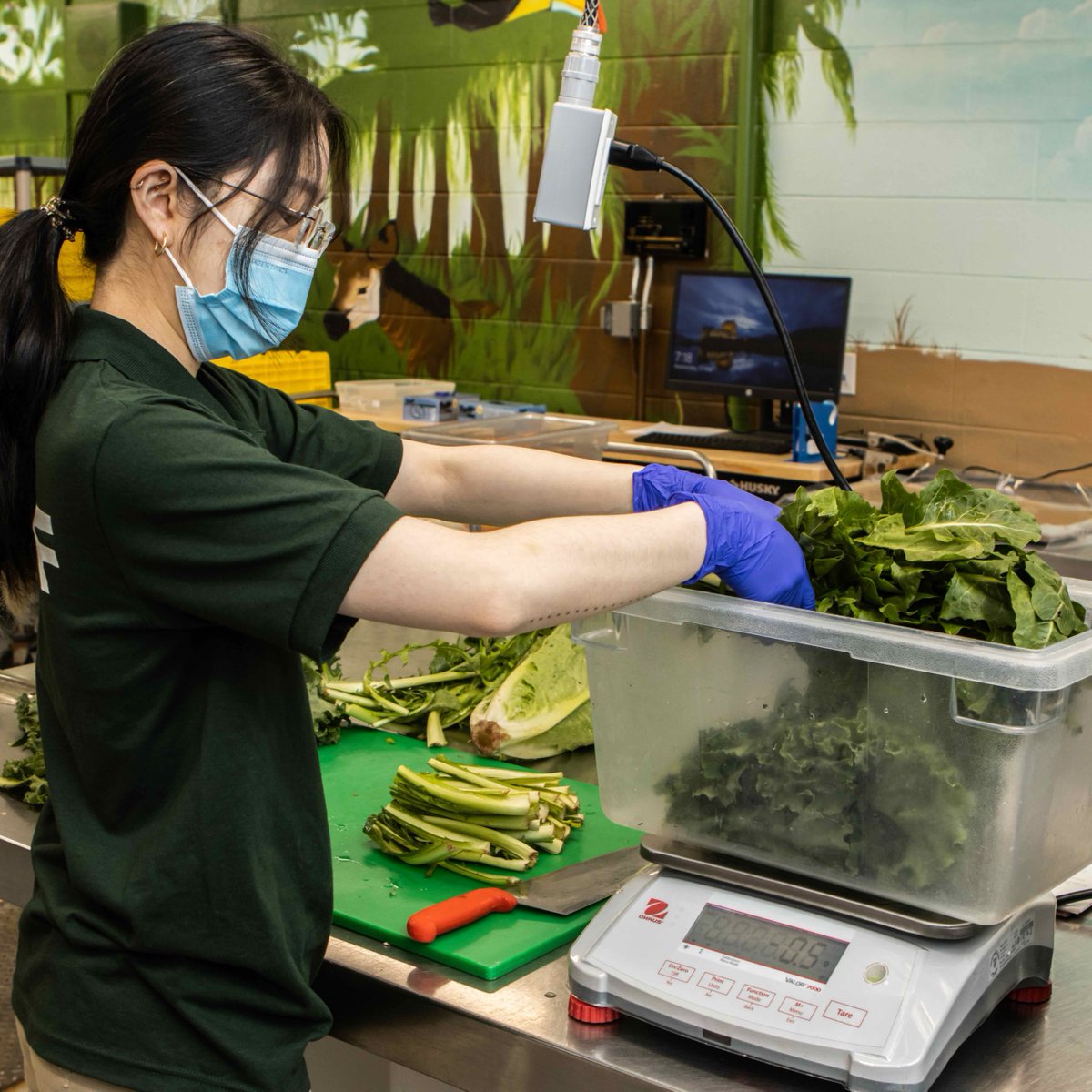 TheTorontoZoo's tweet image. It’s #NationalSTEMDay 🔬

National STEM Day reminds us that discovery starts with a question. Learn more about your Zoo's five cores sciences and how they support the 3,000 animals in our care  ⬇️
bit.ly/3JSlIWC