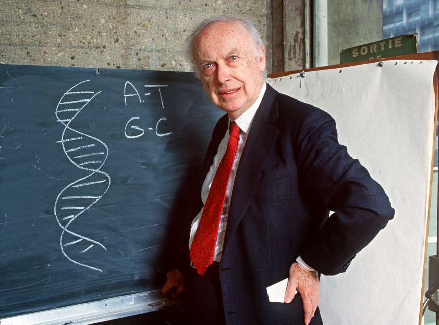 Se murió James Watson a los 97 años. 

El último de los 3 descubridores del ADN que seguía con vida. 

Fue uno de los científicos más importantes del siglo XX. Hasta que dijo lo siguiente:

“Existe una diferencia promedio entre blancos y negros en las pruebas de coeficiente