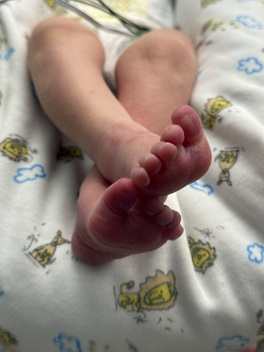 This week, my heart grew by 20 little toes and 20 little fingers, and I gained a new title of Grammy