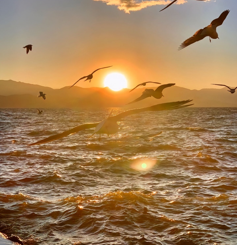 gojacklinego's tweet image. In the game of life, sportsmanship is the real victory.