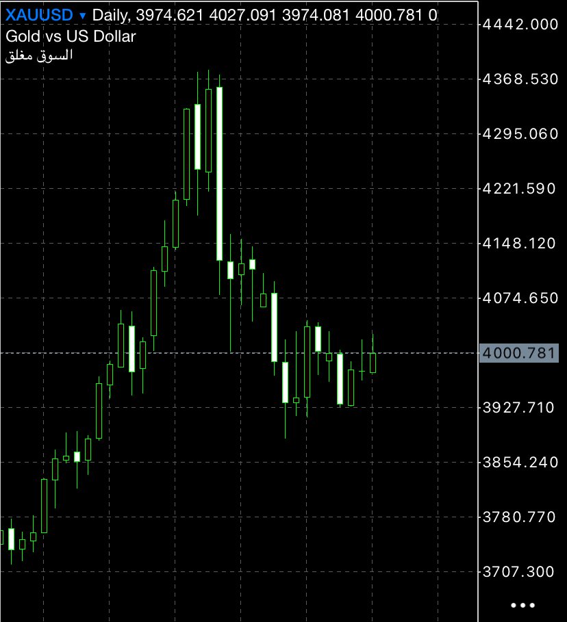 محمد الرويلي 🇸🇦 tweet media