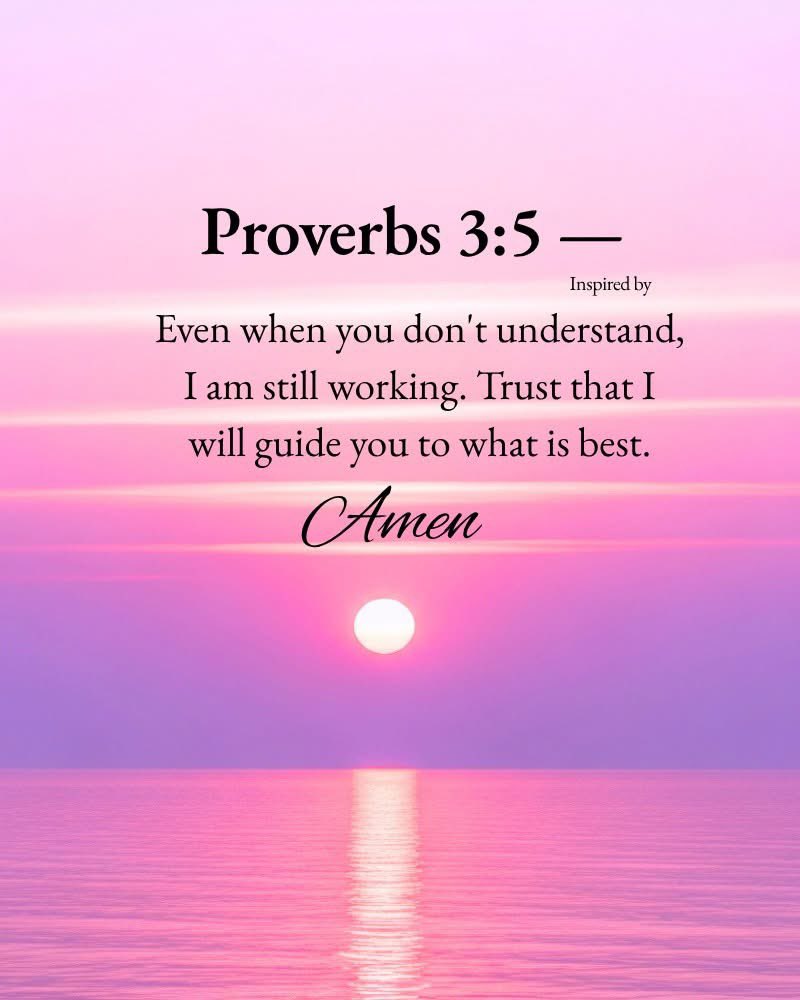 Amanda DeHaven💙🌾 (@peace4thevalley) on Twitter photo 