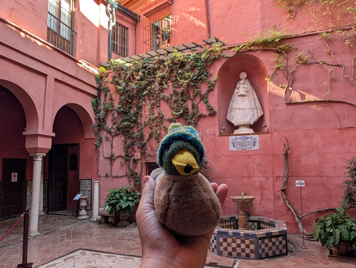 Mr Quacks tweet media