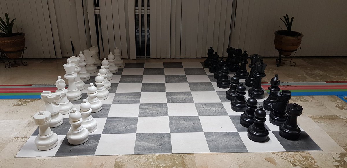 Frente a frente, como dos "ejércitos" en formación... Pero de ese enfrentamiento no llegará la sangre al río 😊