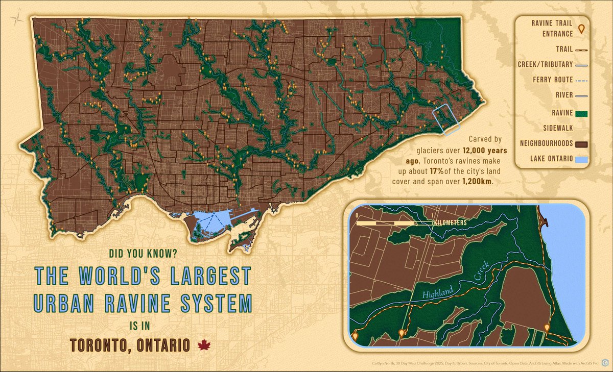 ArcGISPro's tweet image. Using #ArcGISPro, Caitlyn North mapped the urban sanctuary many Torontonians use to escape the hustle and bustle of the city. ArcGIS Living Atlas data and custom symbology brought Toronto’s 1,200 km ravine system to life!
#30DayMapChallenge day 8: ow.ly/FwzE50XoBn4
