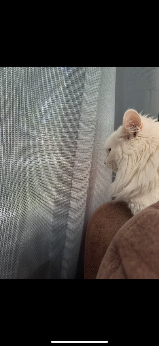 Freya May tweet media