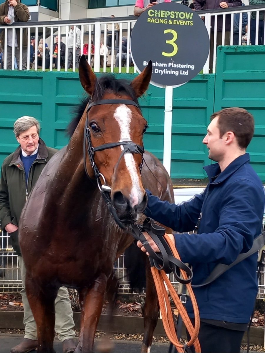 juniorpafc's tweet photo. Abit delayed as been having phone issues....Thank you for bringing Rocky home safe on Wednesday @williams_lorcan .. can't wait until the next time @holworthyfarm https://t.co/qiUNhlreGG