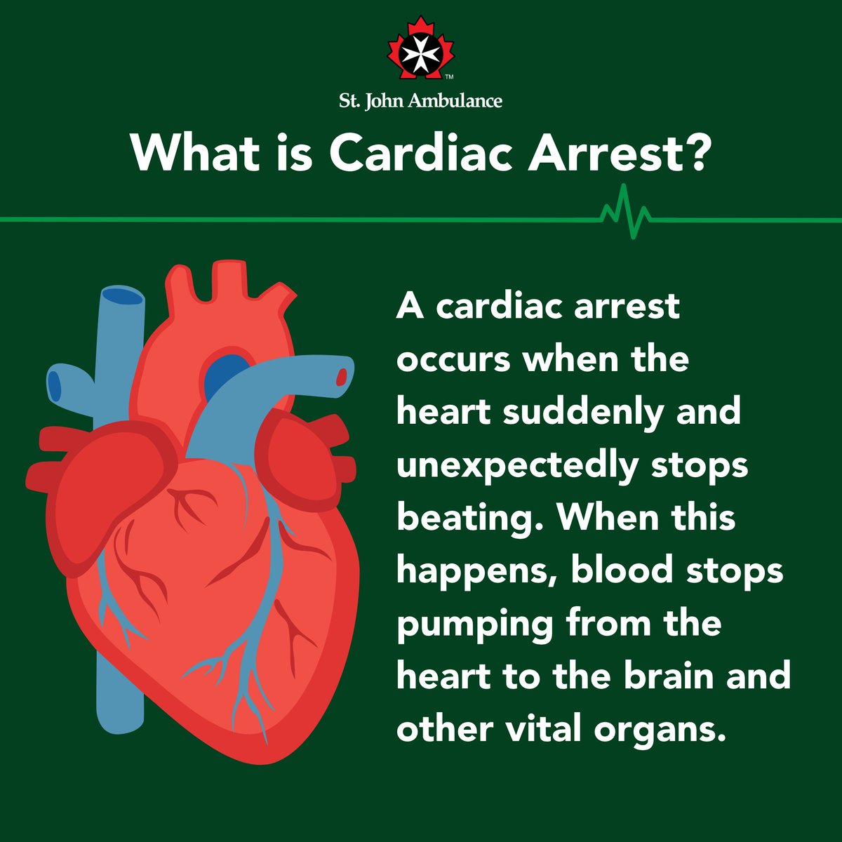 SJA_Canada's tweet image. November is CPR Month! Do you know when to use CPR?

CPR is used when someone is experiencing a cardiac arrest, and keeps blood flowing to vital organs until the heart’s natural rhythm can be restored.

Becoming CPR certified can save a life. Get certified today and learn CPR,