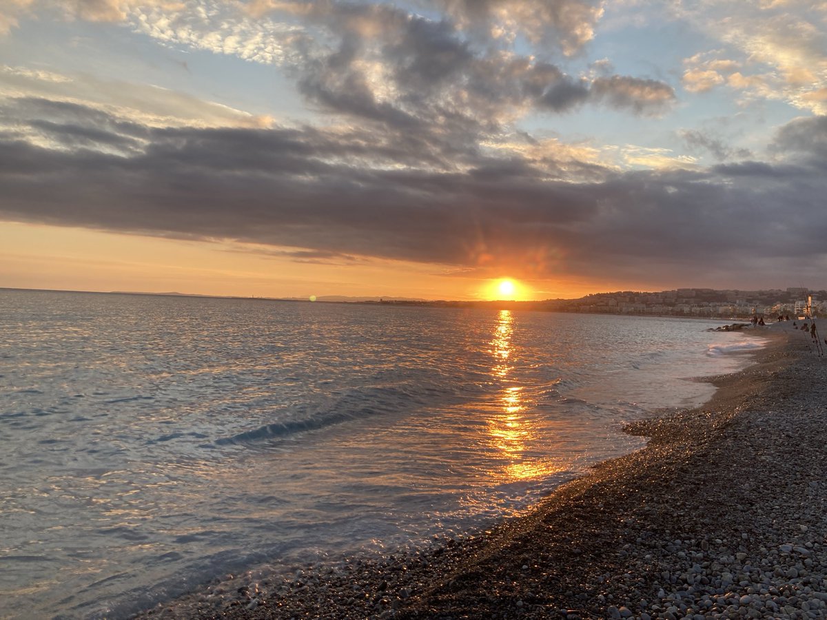 nowmo.design (@nowmodesign) on Twitter photo 