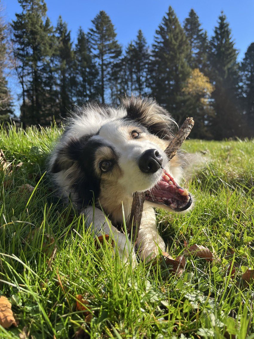 Solful Saturday 

First outdoor fond-of-you of the saison 🫕🧀

#Sol #SwissMade #SolarWatch #SunKissed #Switzerland🇨🇭⌚️🌞