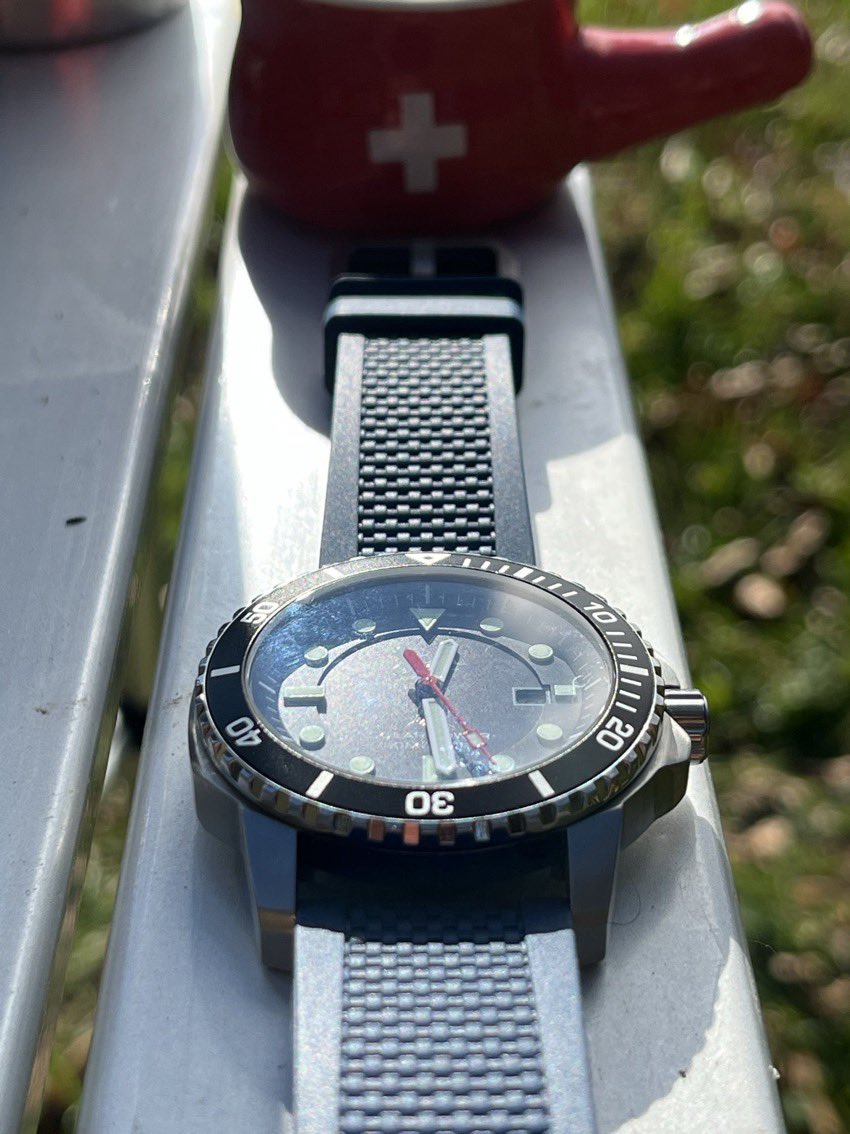 Swiss D1VER Watch tweet media