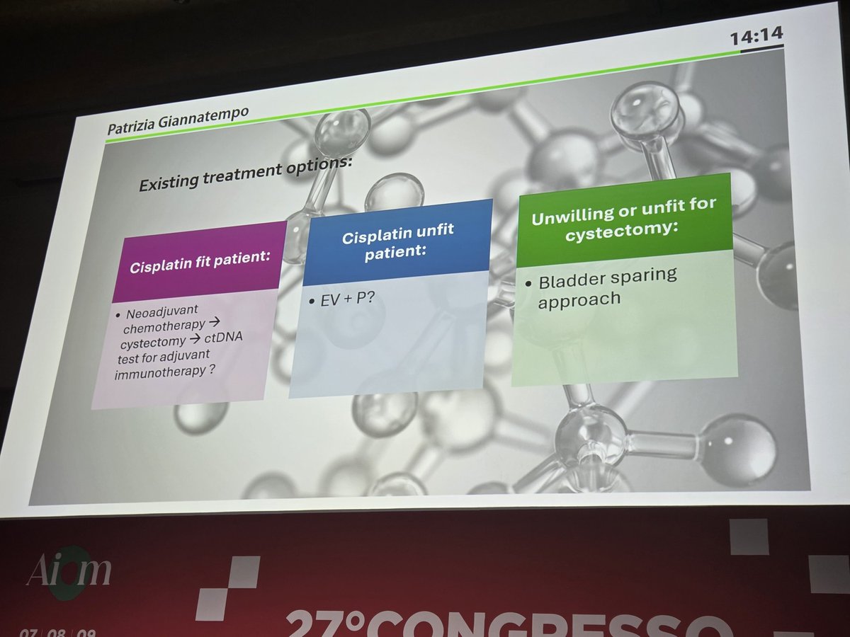 DrIacovelli's tweet image. @giannatempopatr made a great lecture on #MIBC at 🇮🇹 #AIOM25 integrating experience, with trials knowledge and vision on this area.
@AIOMtweet @urotoday @urotoday @OncoAlert @oncodaily