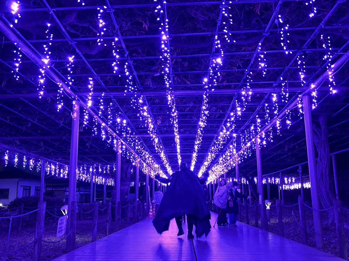 konannobatman's tweet photo. ファミリーやカップルにライトアップを見てほしい！
11月8日(土)から23日(日)の18:00〜21:00まで江南市の曼陀羅寺公園で「秋のこうなん藤まつり」を開催！
公園いっぱいに飾られた藤を模したLEDがロマンチックでとても美しい！
絶対に見に行こう！
※皆さんとの撮影写真も分けてアップ！お楽しみに！ https://t.co/cMuvKeOPK1