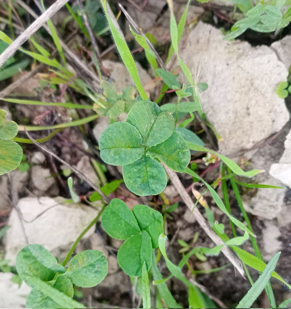 Masjoefel.INJ⚡️ tweet media