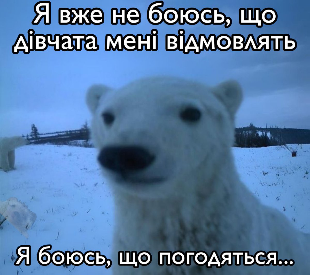 memehedgehog24's tweet photo. Це не мем браття та сестри... https://t.co/X3Wi0go5lk