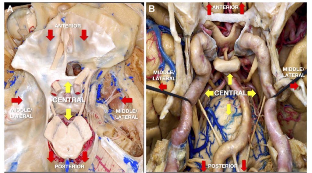 DrJFM - Juan C. Fernandez-Miranda MD - tweet media