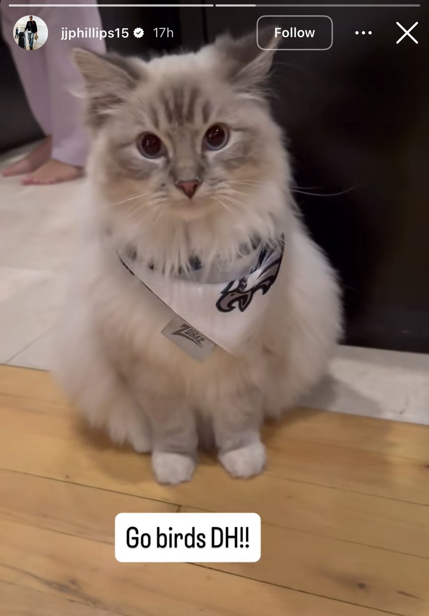 Jaelan Phillips on IG:

“Go birds DH!!”