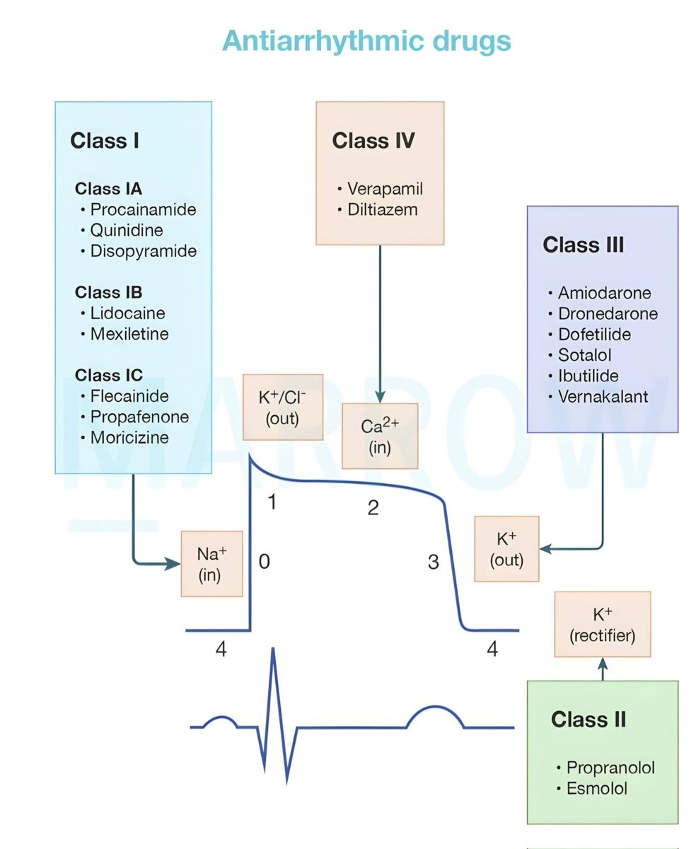 nervemed's tweet image. 