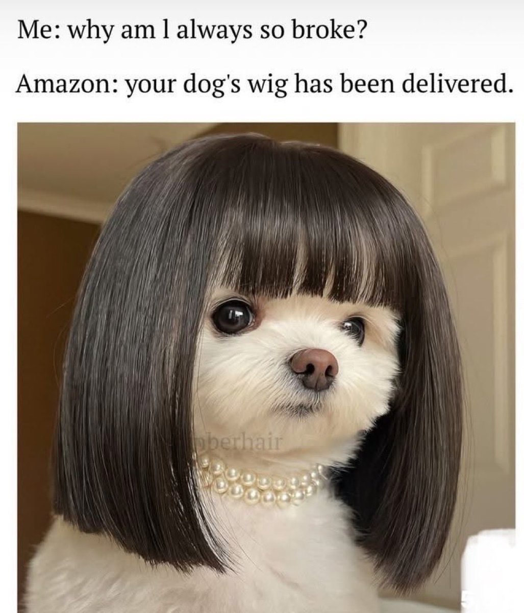 Alan Vaughan (@avaughanjr) on Twitter photo 