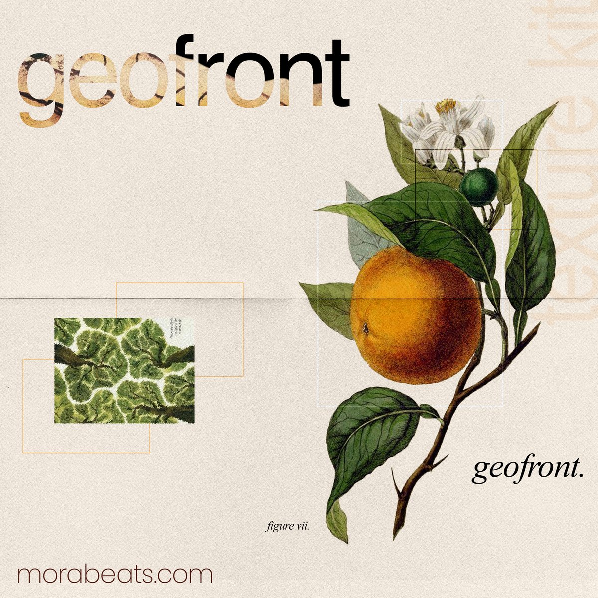 morabeats's tweet photo. GEOFRONT free texture kit out now @ https://t.co/UsQQXU15Lr | 41 textures + accents https://t.co/jsbBzrqLsK