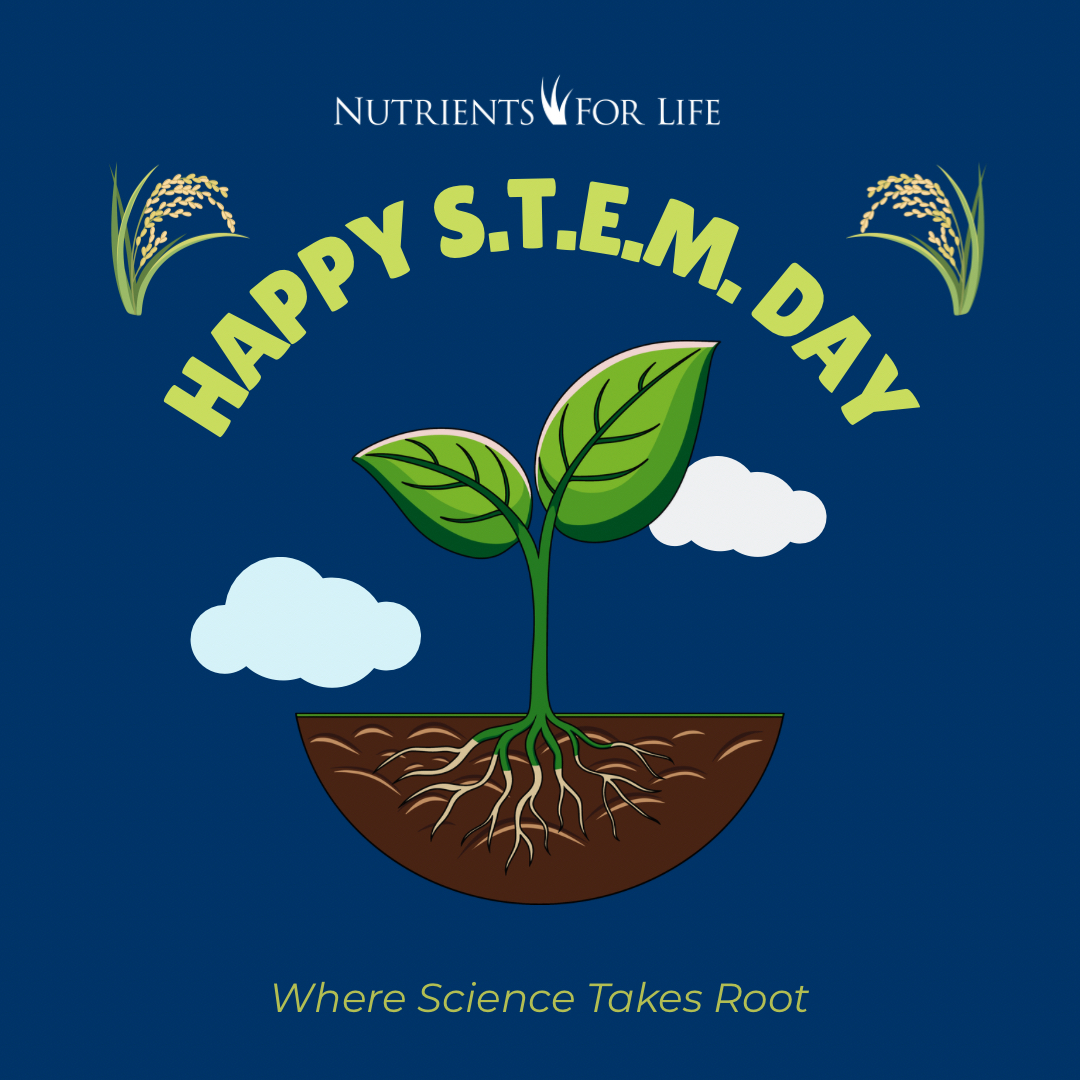 🌎 STEM starts from the ground up — literally. 
Celebrate #STEMDay with free soil science lessons that bring chemistry, biology, and physics to life in the classroom.
👉 Explore: nutrientsforlife.org/for-teachers/e…