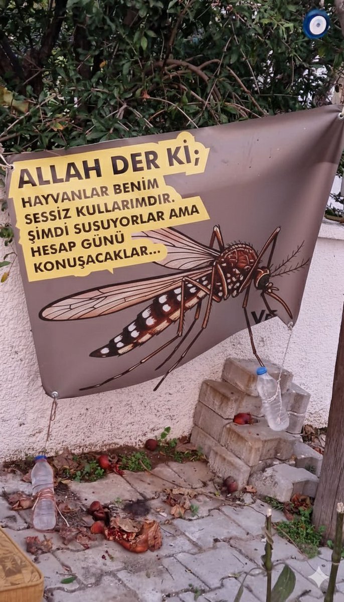 Kandostları öldürmeyin. 'İlaçlama' adı altında 'ZEHİRLEMEYİN'!!!