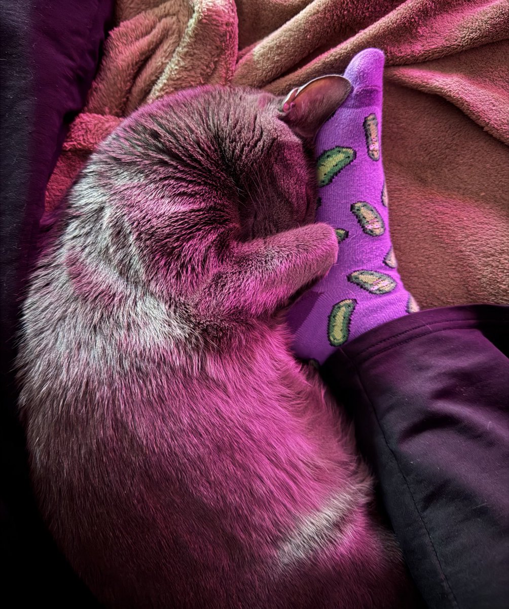 Nat__321's tweet photo. he got comfier 😍 https://t.co/s20G87dNIk