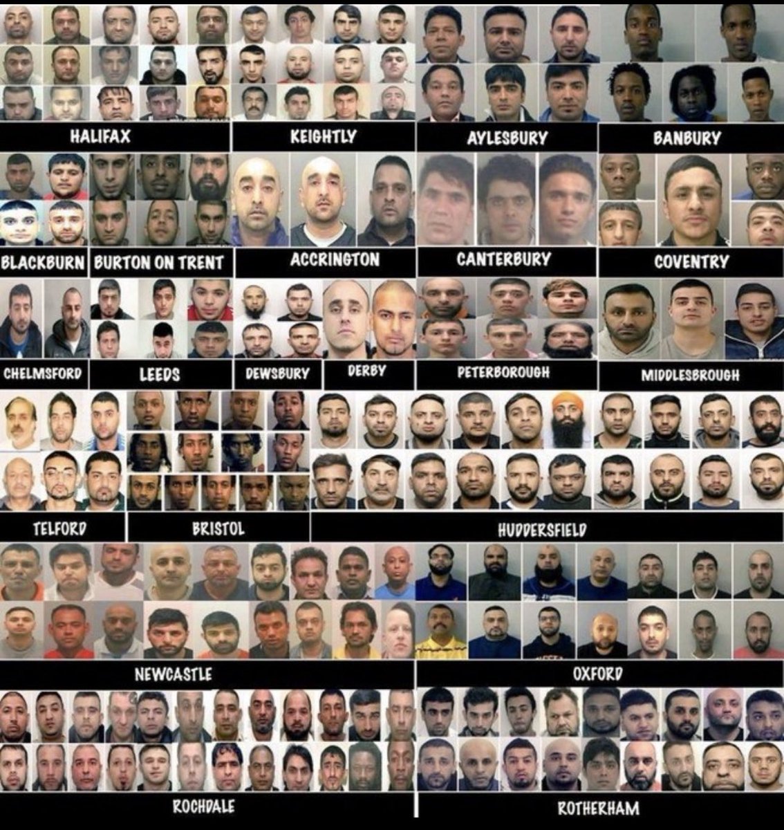 Danielle Proto tweet media