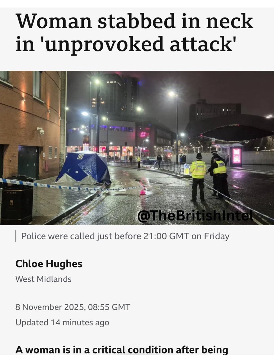 Danielle Proto tweet media