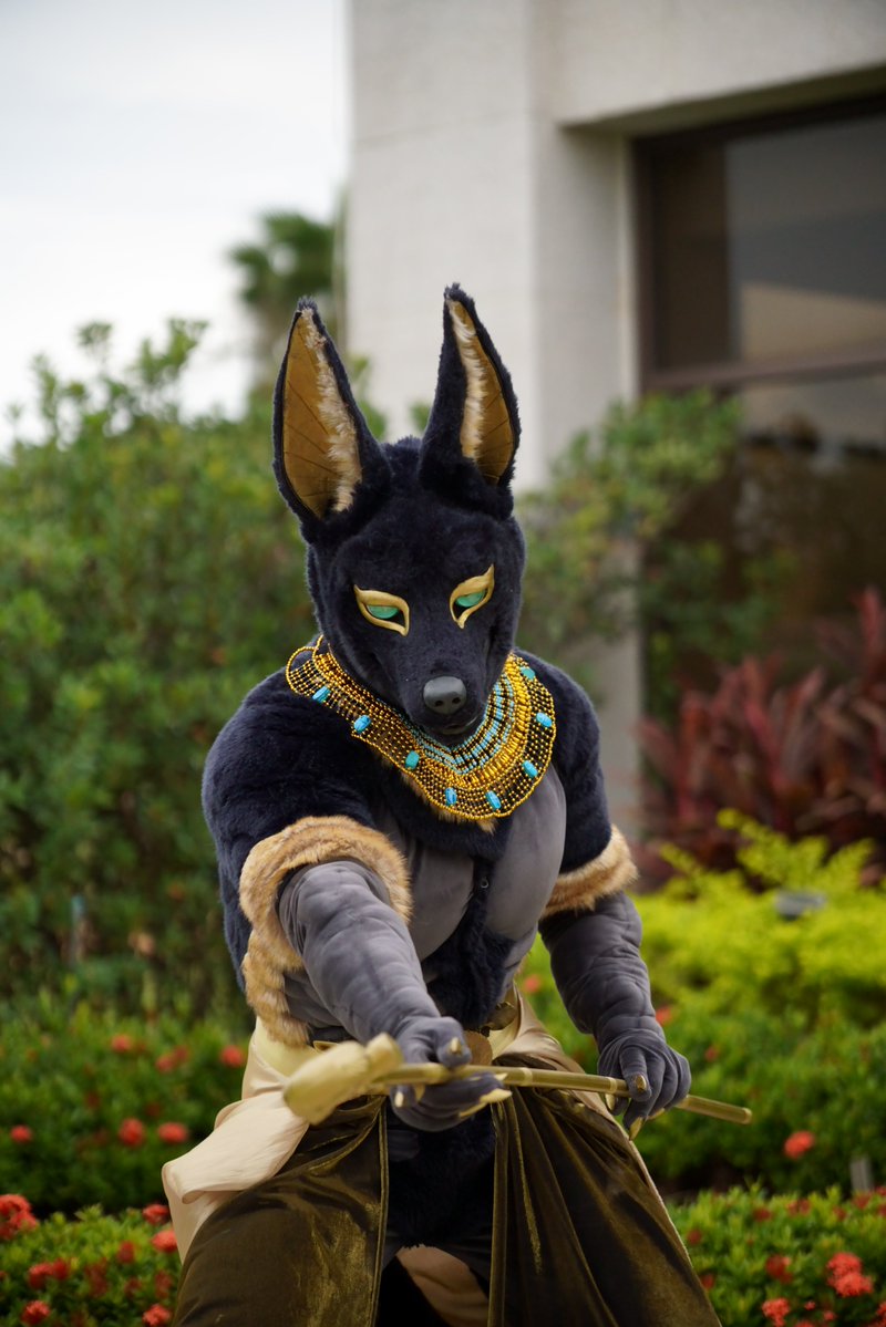 帕連克Palenque tweet media