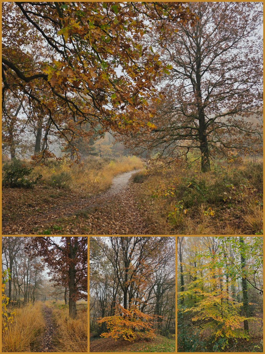 Zenbur04's tweet photo. Een hele fijne avond gewenst!
π«βοΈπβ¨οΈ
#teamHerfst ππ§‘π€ https://t.co/XAmcpXC7pS
