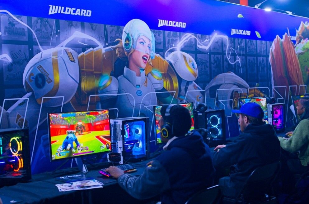 Wildcard LIVE on Steam tweet media