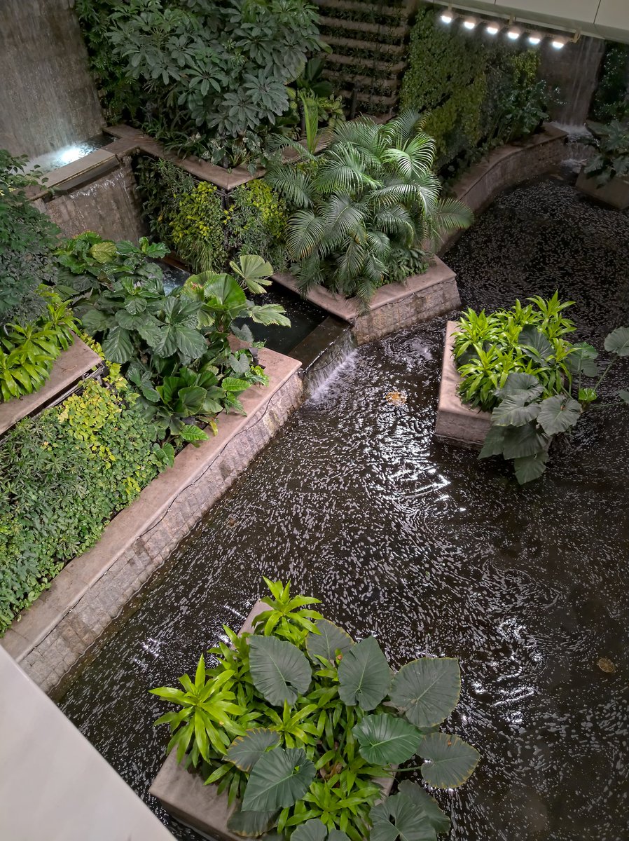 theoriginal086's tweet image. 1,3 #Nokia9Pureview
2,3 #HMDSkyline nightmode
Nokia 9 PV is about 6yrs.