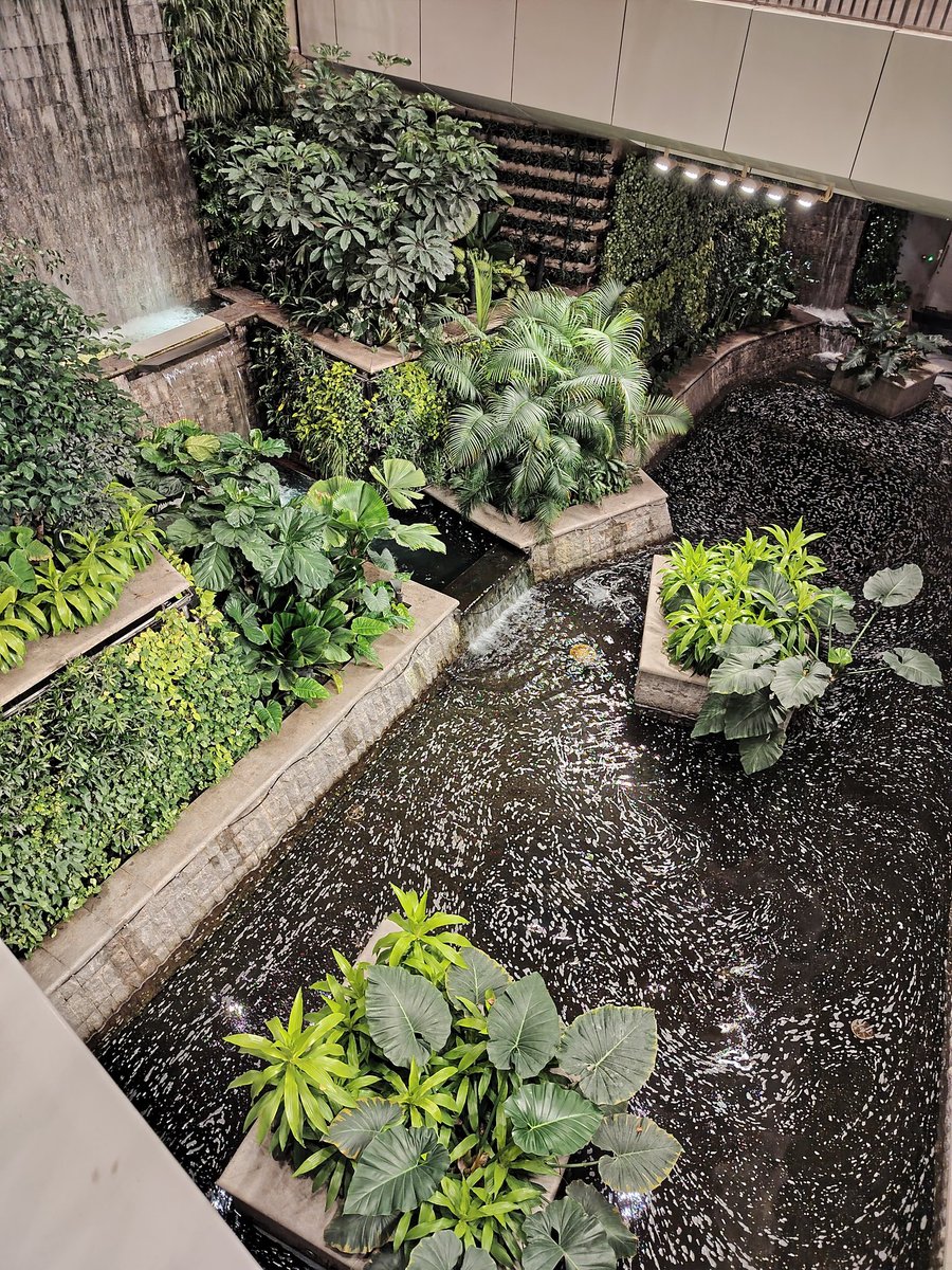 theoriginal086's tweet image. 1,3 #Nokia9Pureview
2,3 #HMDSkyline nightmode
Nokia 9 PV is about 6yrs.