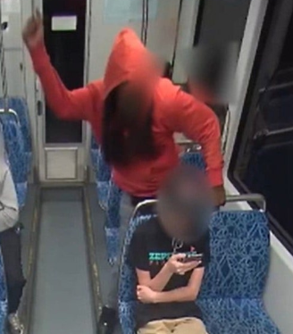 Liberal "empathy" is wanting men like this free on the streets because putting them in prison might make them feel excluded.