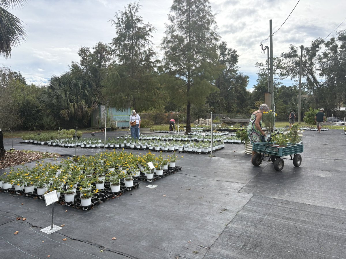 gracetucceri's tweet photo. I’m at Grow Hub’s Plant-a-Palooza this morning for @WUFTNews and it’s blooming with excitement! https://t.co/RMzVS3WFTm