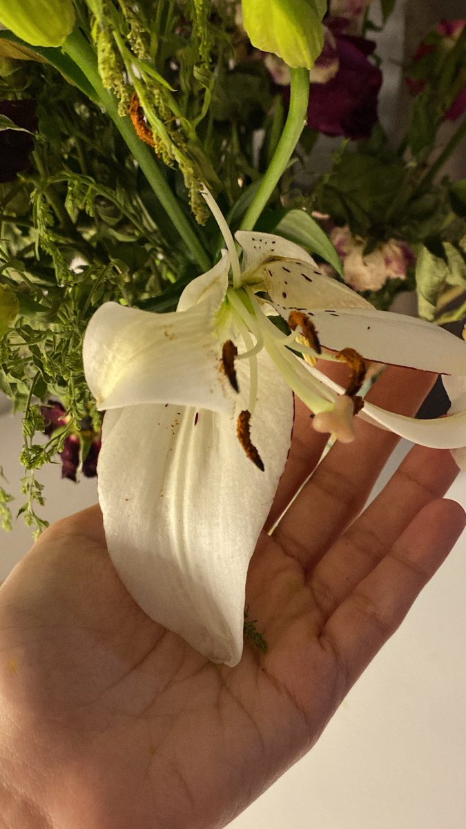 chimgur's tweet image. 