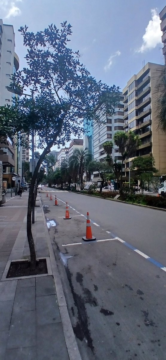 85Estebancer's tweet photo. Shakira logró el sueño de todo urbanista decente, peatonizar la ciudad sin que los animales se quejen por los carros. Shaka la urbanista definitiva, ni Salvador Rueda lo logró. https://t.co/C13az6b2A1