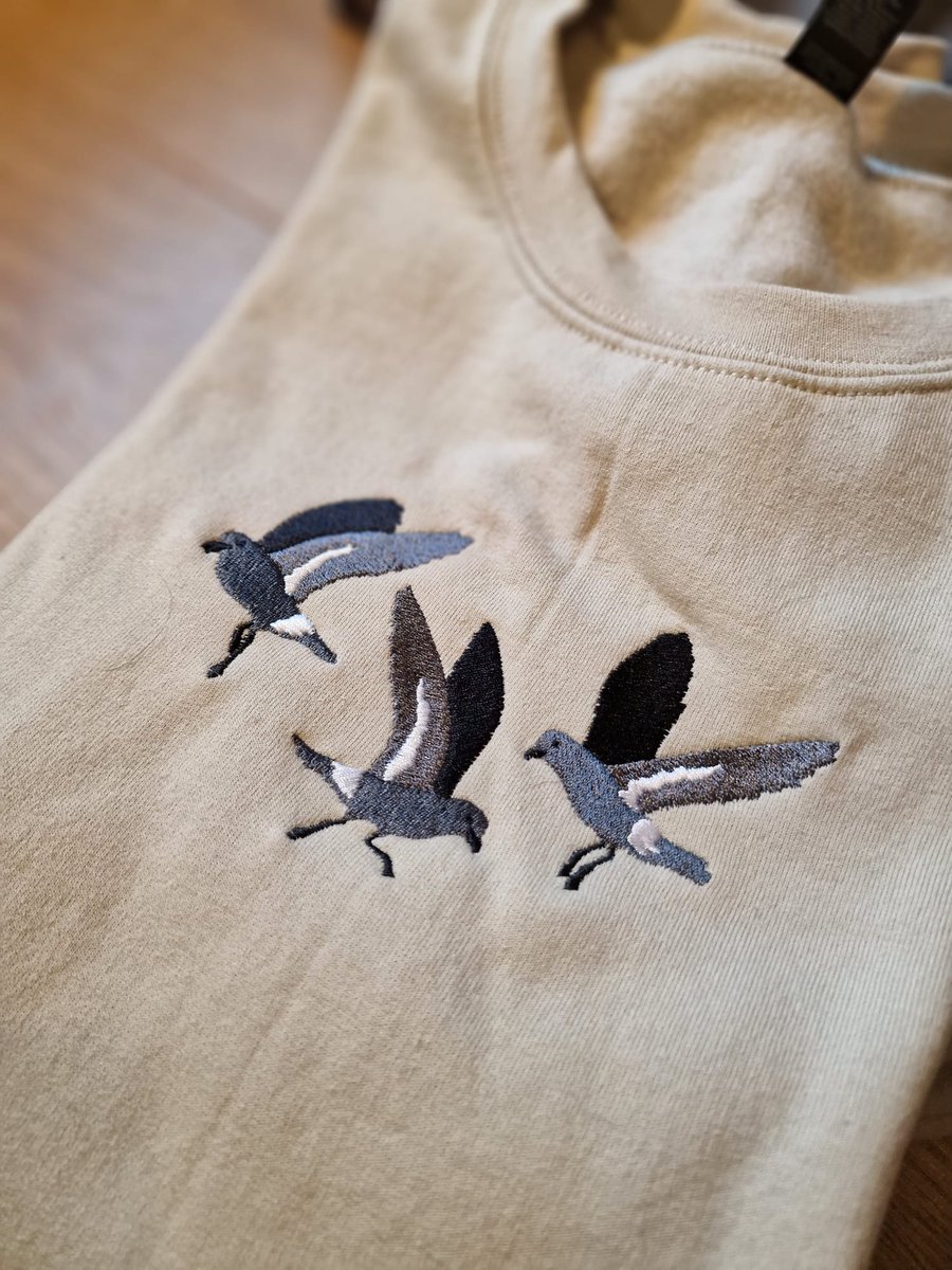 Ella Benninghaus tweet media