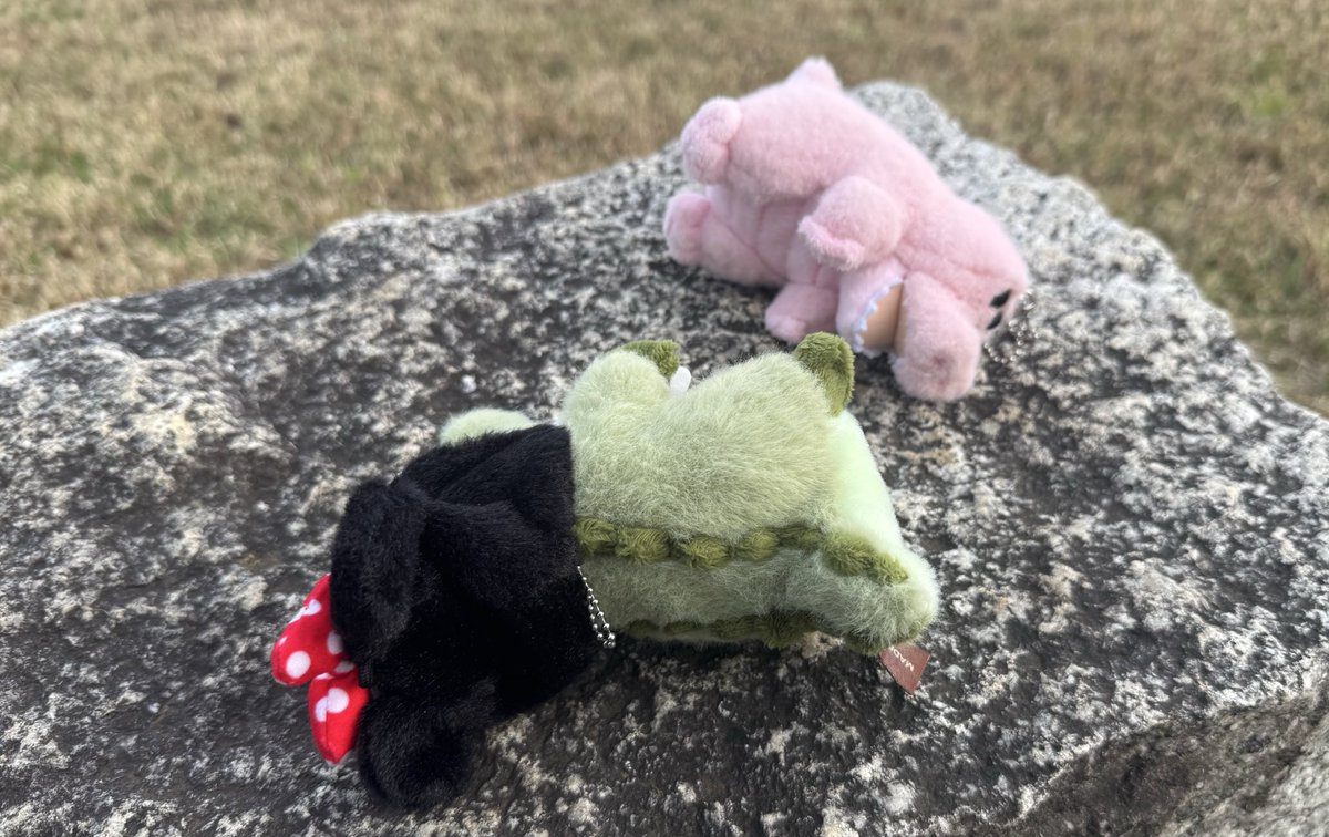 わっちゃんの日常 on X