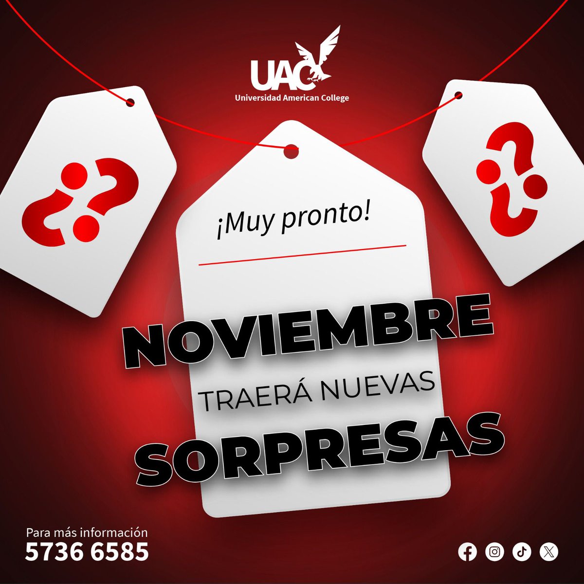 American College tweet media