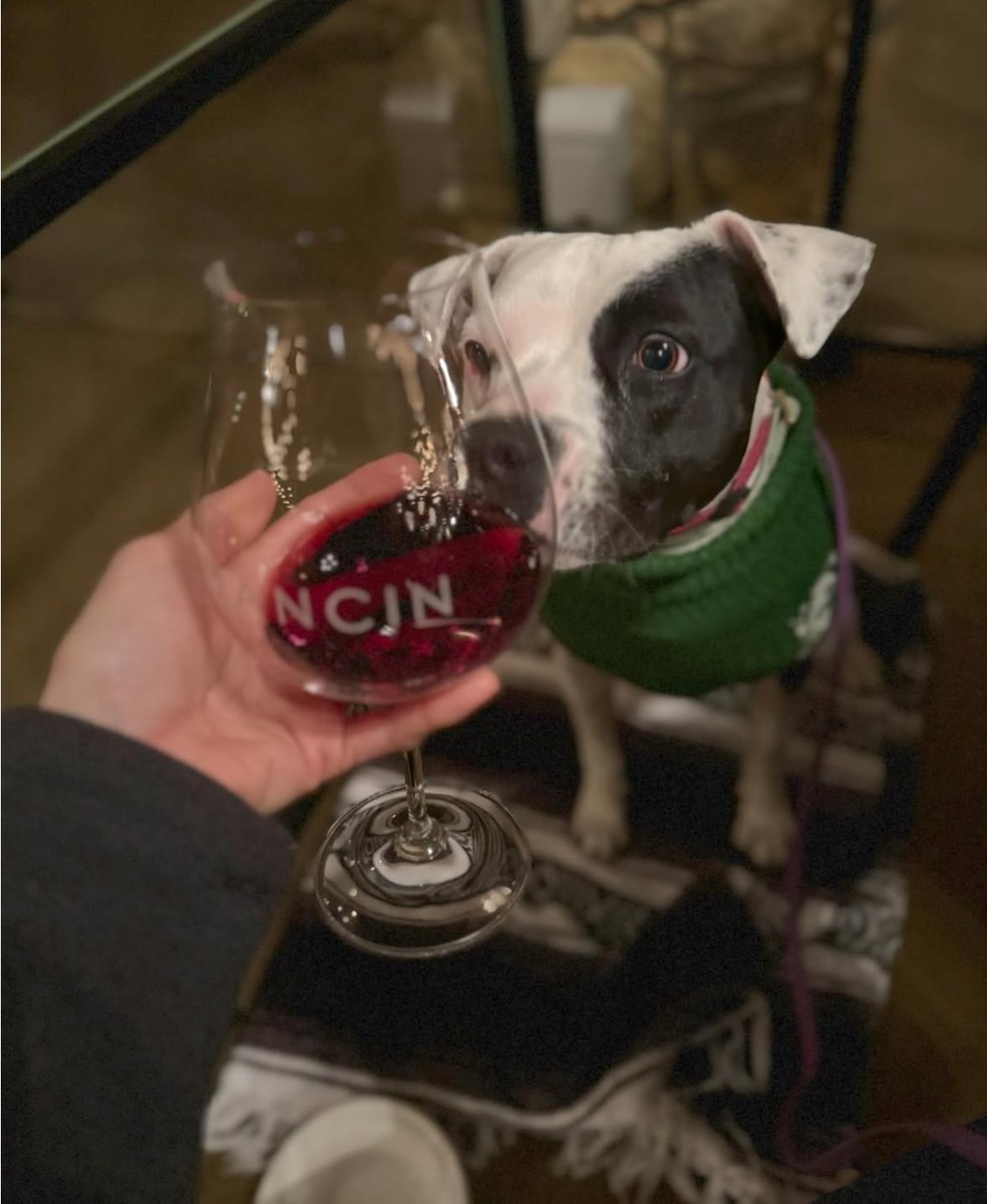Future sommelier in training. 🍷🐾 #drinkingbuddy

(Photo: @lydiamwatt)