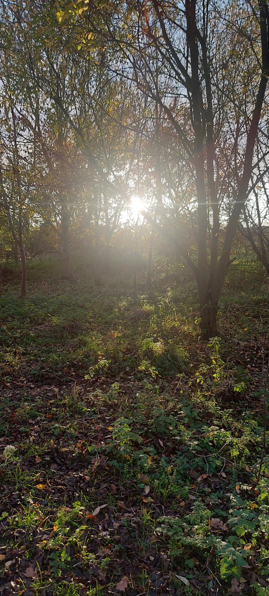 Grenoside's tweet image. #Saturdays serene sunset creates her own perfect star. ☀️*️⃣