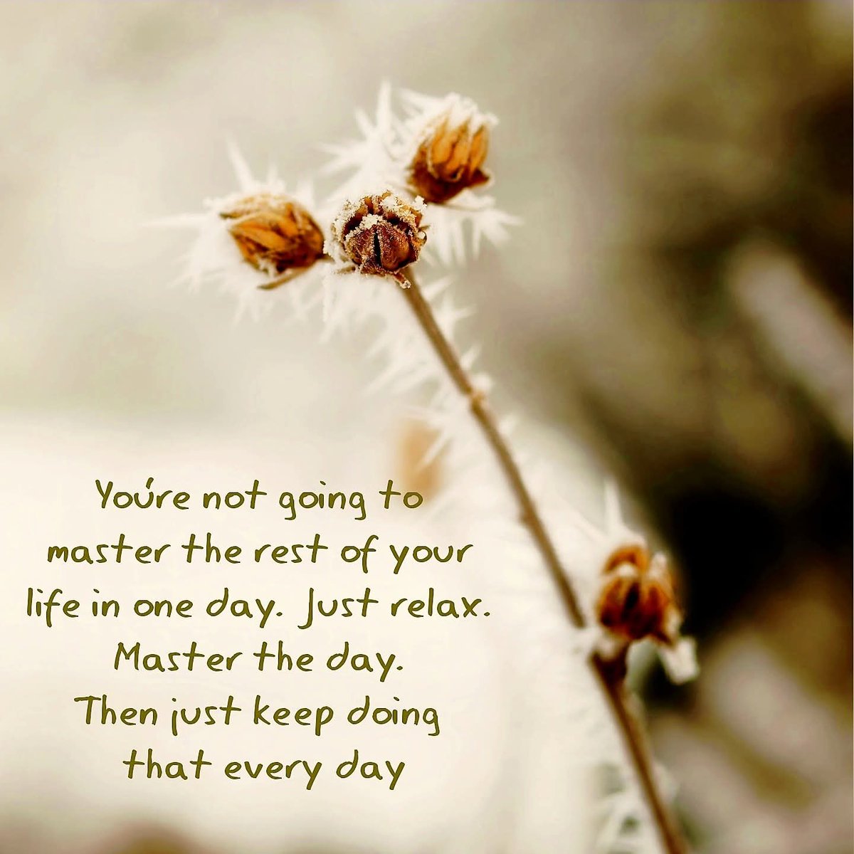 AWillbrandt1047's tweet image. It's impossible to plan out your entire future at once. Concentrate on making good choices and taking small steps forward today. #future #concentrate #good #choices #smallsteps #forward #today #life #quotes 🌟💫🌈🎉