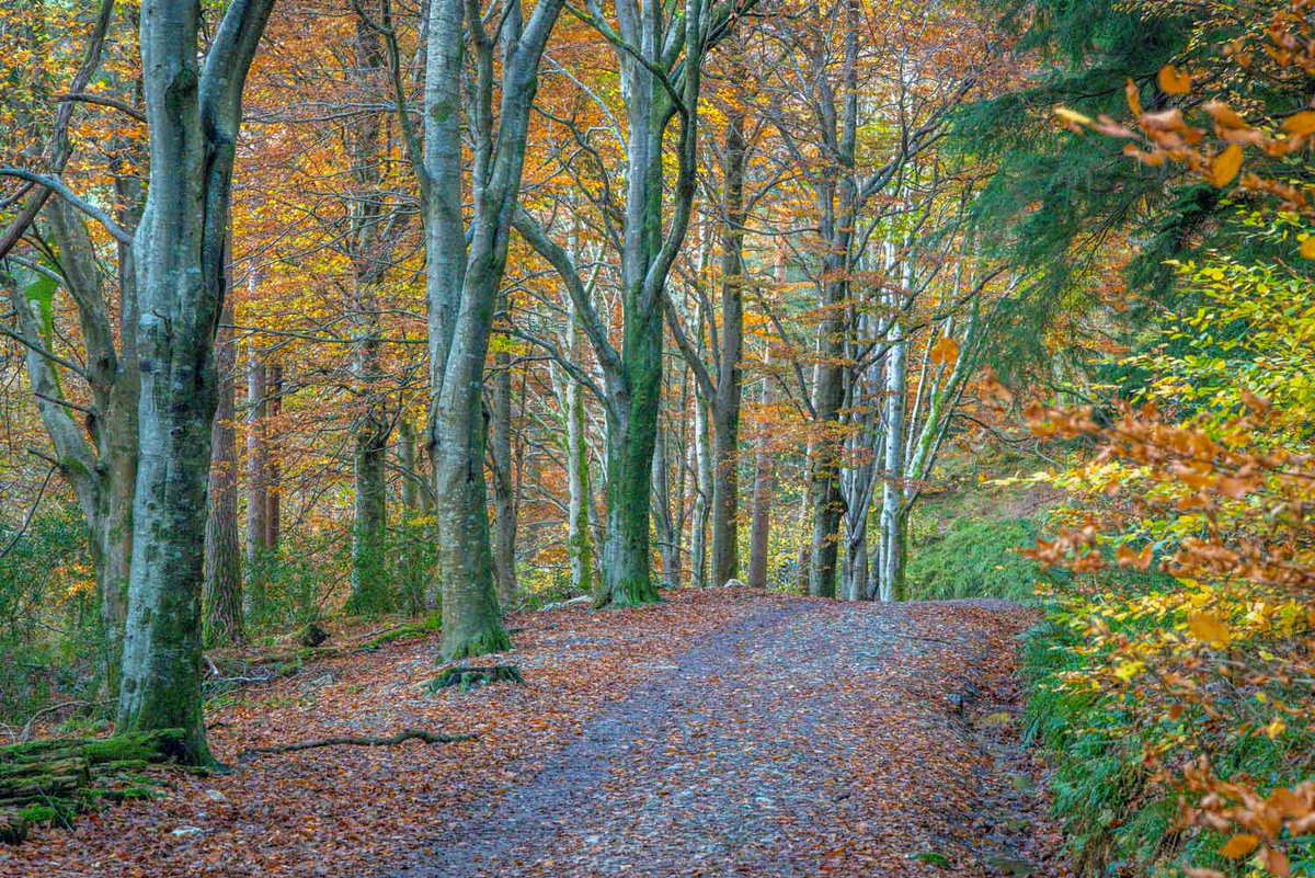 andrewswalks's tweet image. A short walk to Crummock Water this afternoon