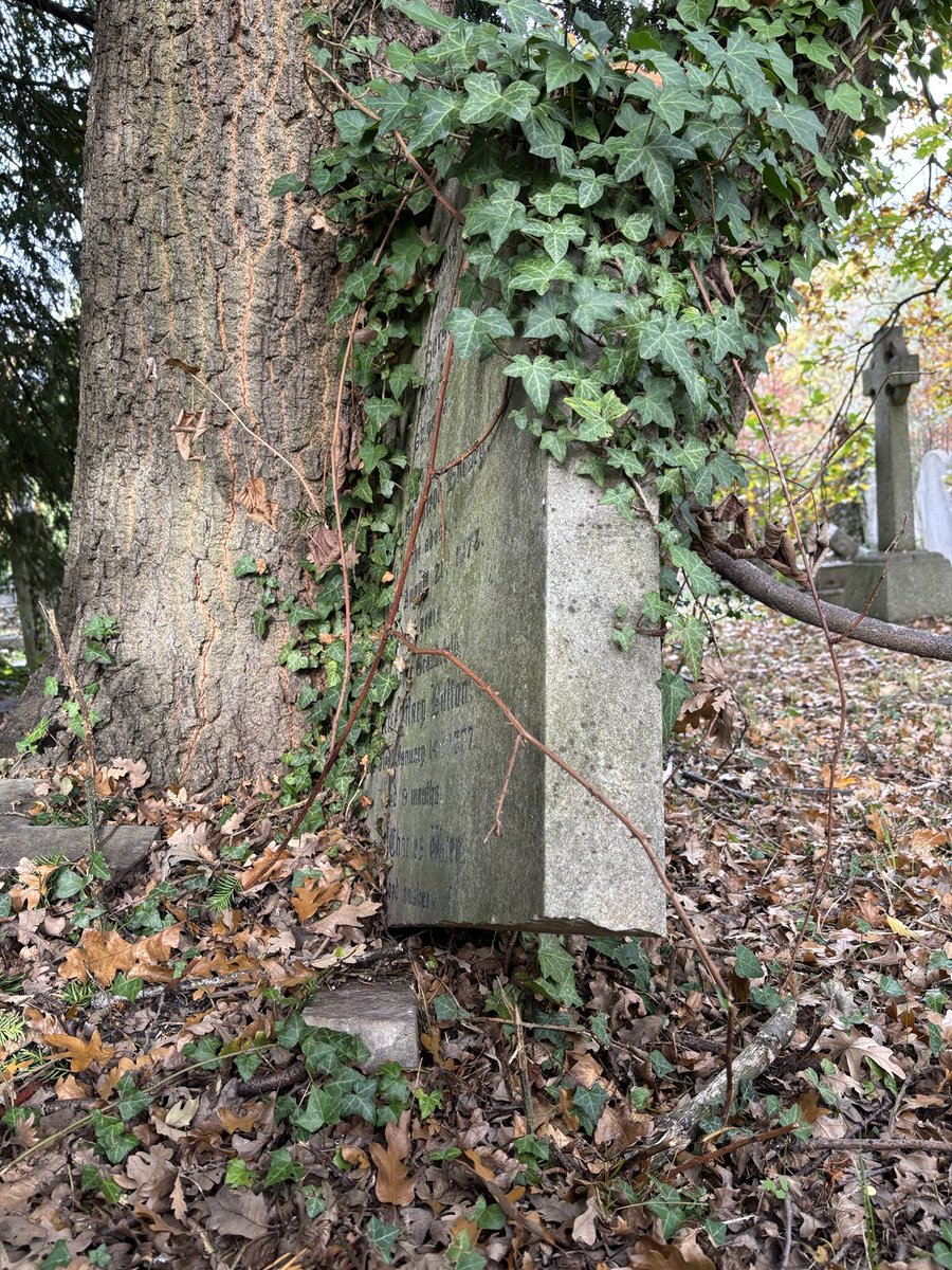 Disappearing infrastructure  #BarnesCommon and #LowerPutneyCemetery