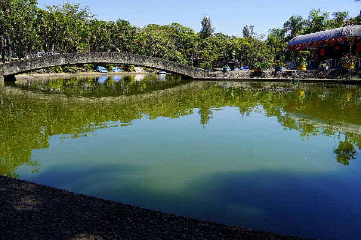 AlanMorenoDo's tweet photo. Este fin de semana visita el #ParqueAlameda (Solidaridad) 🌳 sobre el Blvd. Cuauhnáhuac.

Disfruta su lago, canchas, ciclopista, áreas verdes y la calzada inspirada en el juego de pelota. ¡El jardín público más grande de Cuernavaca! 🌿

#CuernavacaMereceMás
#RegidorAlanMoreno https://t.co/Qpsnswf9MO